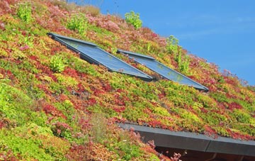 Chelston Heathfield living roof systems