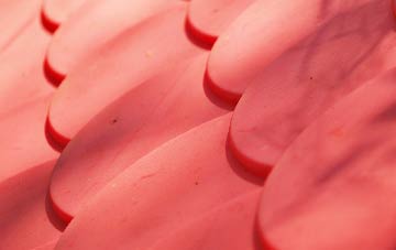 Chelston Heathfield plastic roof costs